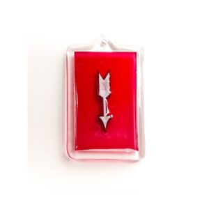 Lead Rectangular Arrow X-ray Markers, set of 2, #LM-007