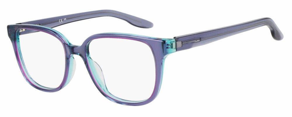 Radiation Glasses Nike 7172