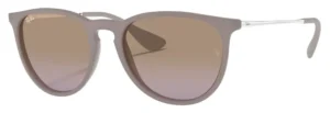 Ray Ban Erika Classic Sunglasses