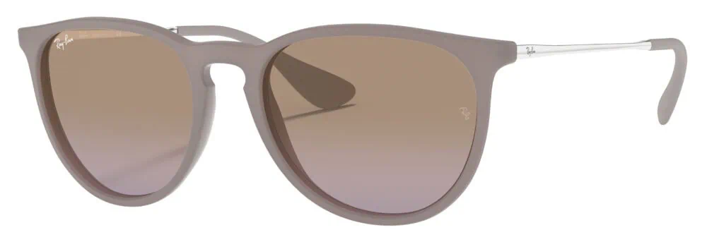 Ray Ban Erika Classic Sunglasses