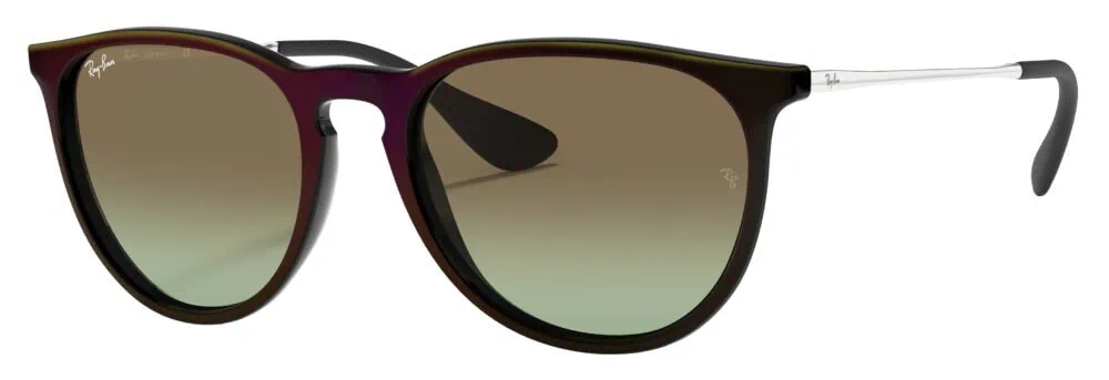 Ray Ban Erika Classic Sunglasses - Image 3