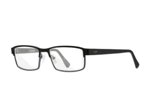 Wiley X Worksight Fusion