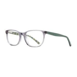Dr. Seuss Eyeglasses Lorax 1